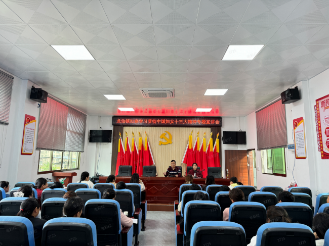 龙仙镇妇联召开学习贯彻中国妇女十三大.png