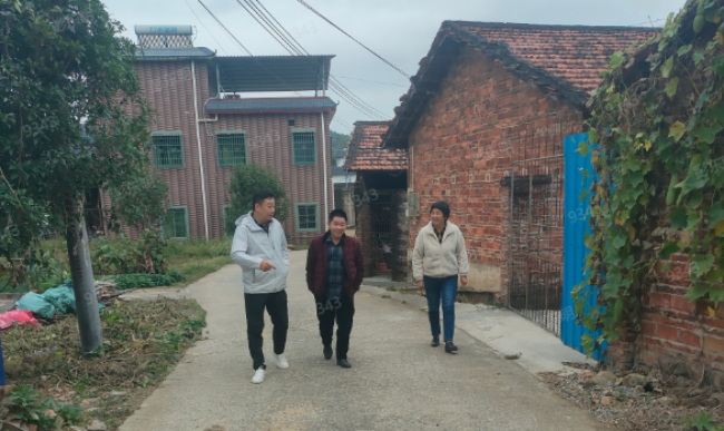新江镇：“五项”评比打响人居环境专项.png
