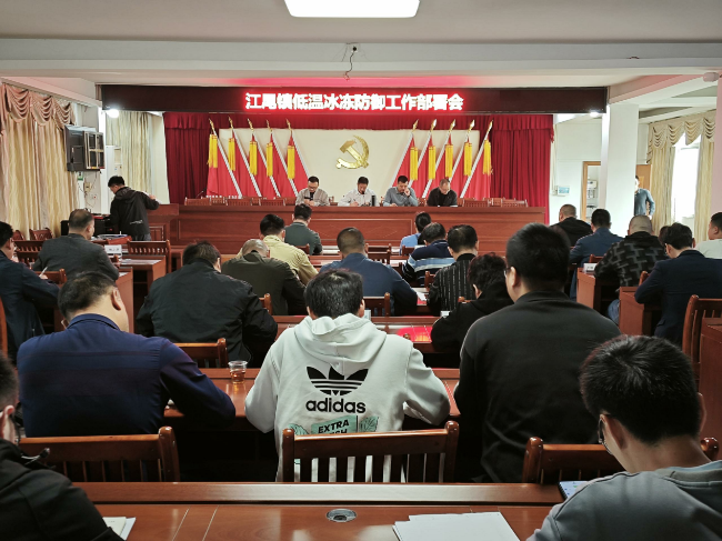 江尾镇召开低温冰冻防御工作部署会议.png