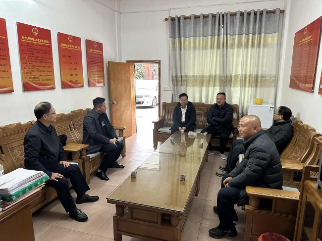 县人大常委会主任温毅麟率队到江尾镇开展调研指导工作.png