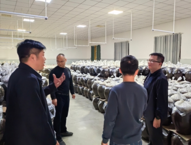 微信截图_20231228155611.png