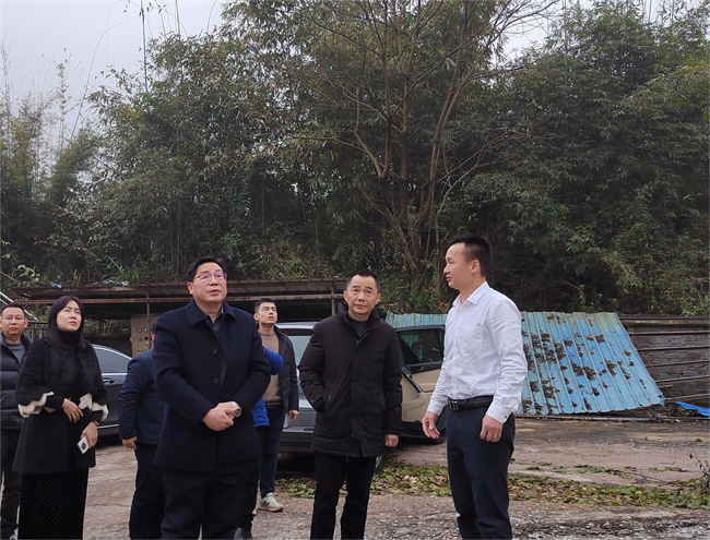 铁龙镇陪同市国资委有关领导调研重点项目建设情况.png
