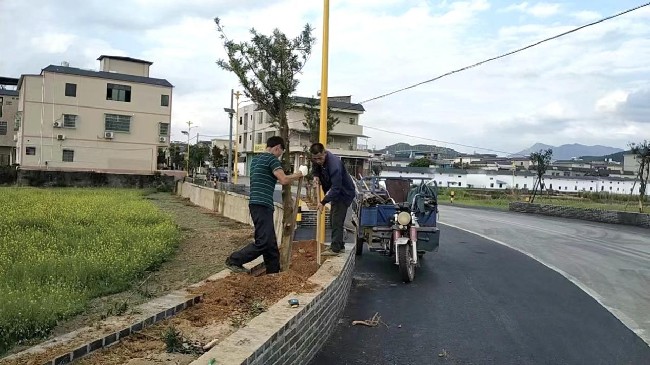 江尾镇：聚力推动“百千万工程”绿美江尾生态建设.jpg