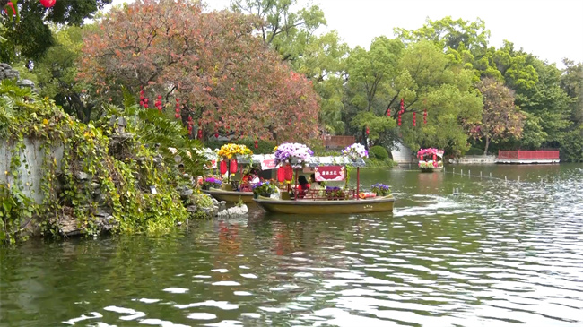 水上花市推介活动.mp4_20240207_181408.539.jpg
