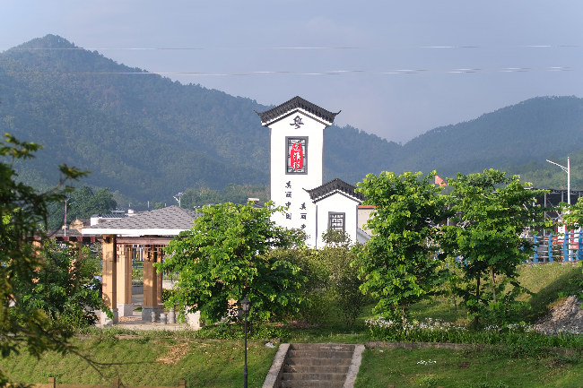 江尾镇连溪村：党建引领，共筑绿美乡村建设“新蓝图”.png