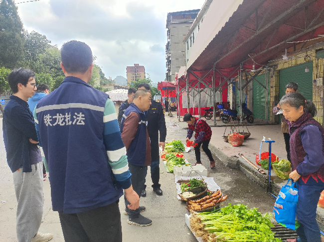 铁龙镇开展六乱整治行动.png