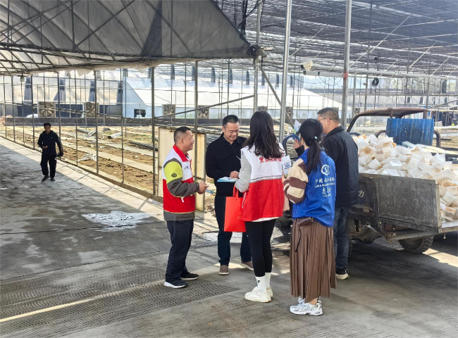 品兰韵文化  展社保风采.png