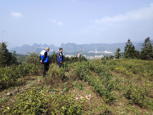 铁龙镇到龙体村开展地毯式毒品踏查.jpg