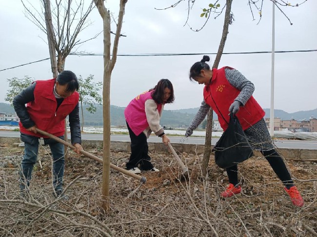“绿美有你 巾帼在行动”--周陂镇光明村.jpg