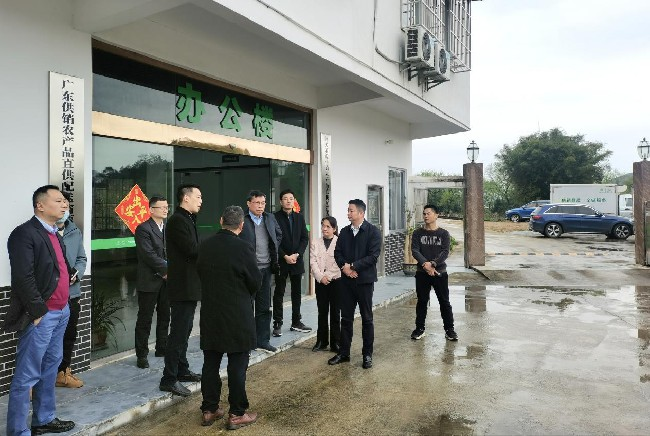 蒋红林到江尾镇调研督导包点镇村、.jpg