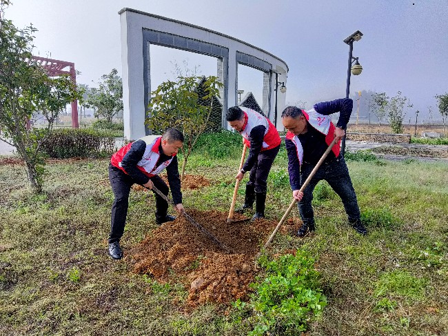 江尾镇南塘村植树绿化助力打造生态振兴.jpg