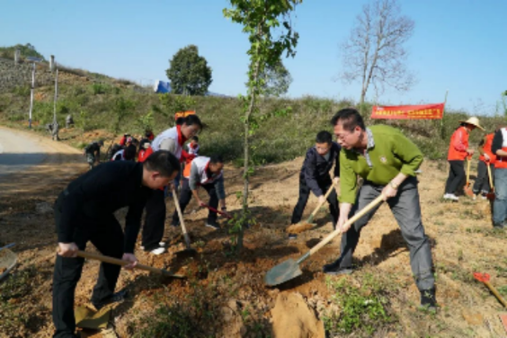 县四套班子领导参加2024年<br/>全省推进绿美广东生态建设义务植树活动
