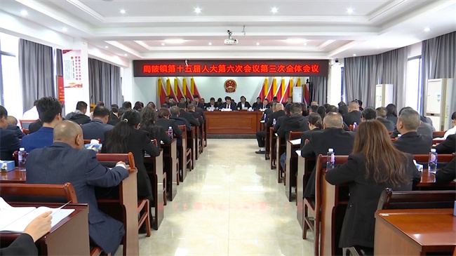 周陂镇第十五届人民代表大会第六次会议召开.mp4_20240322_175337.691.jpg