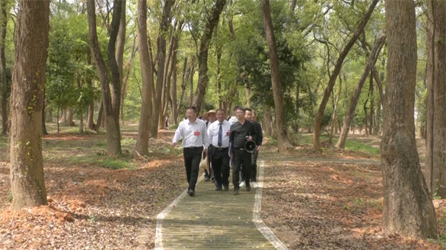 新江人大代表视察.mp4_20240323_141840.313.jpg