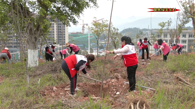 妇联种树.mp4_20240323_141724.017.jpg