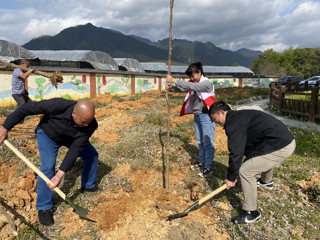 履“植”尽责，江尾镇人大代表携手共建“人大代表林”.jpg