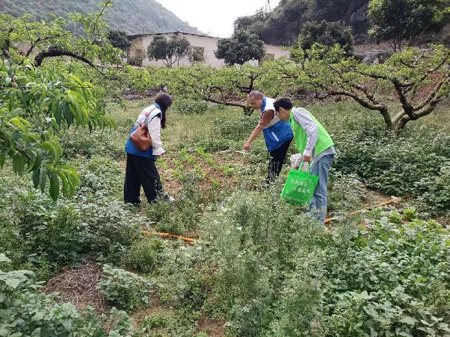 翁源县:春暖花开季 禁种铲毒时.jpg