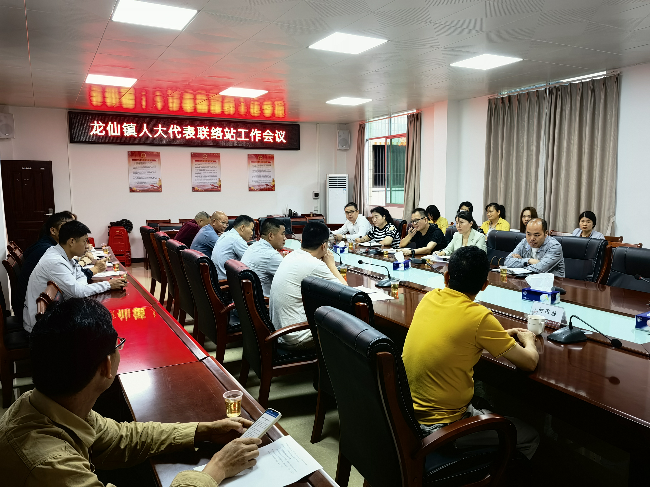 龙仙镇召开人大代表联络站工作会议.png