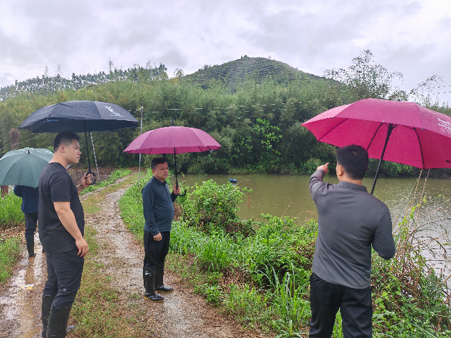 县人大常委会投身防汛一线 彰显人大担当2.jpg