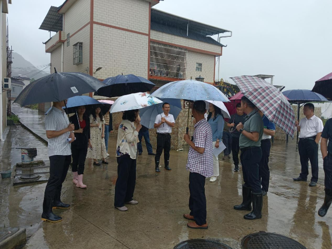 市人大常委会调研组到江尾镇调研农村生活污水治理情况.png