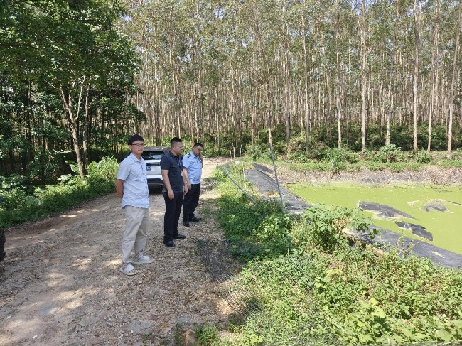 新江镇开展畜禽养殖场专项整治行动.jpg