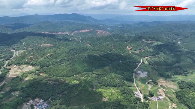 灵芝.mp4_20240702_180043.764.jpg