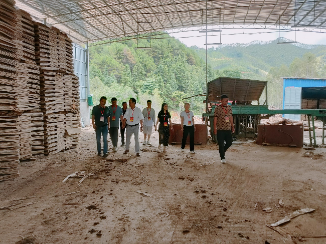 龙仙镇人大视察“百千万工程”产业项目发展工作情况.png