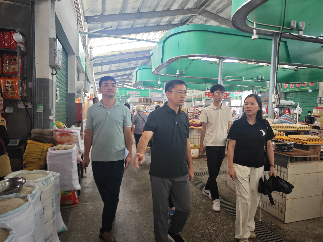 市爱卫办专家组到翁城镇指导国家卫生镇创建工作.jpg