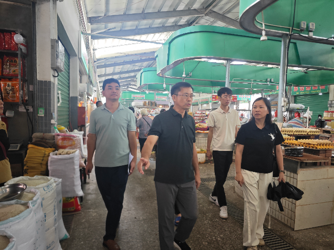 市爱卫办专家组到翁城镇指导国家卫生乡镇创建工作.jpg