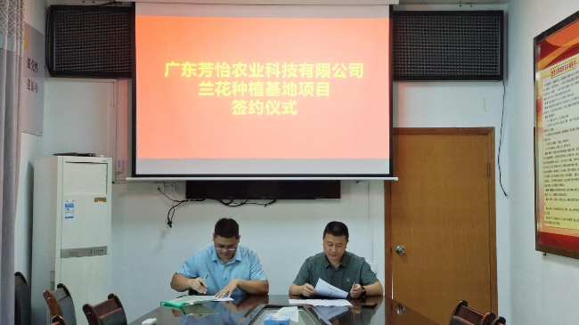 龙仙镇人大视察“百千万工程”产业项目发展工作情况.png
