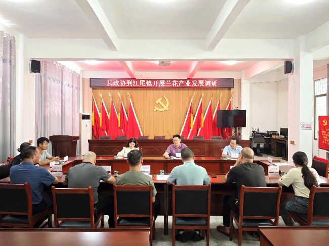 县政协到江尾镇开展兰花产业发展调研.jpg