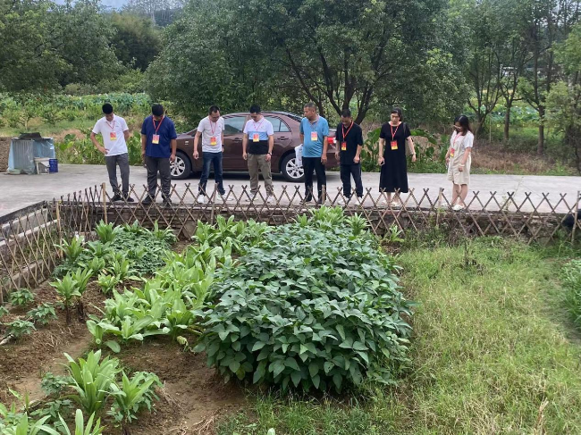 民主村人大代表联络站开展“绿美翁源.png