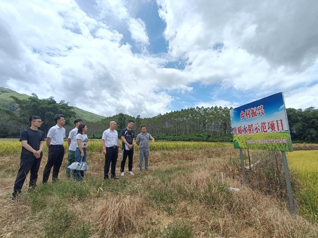 广东省大宝山矿业有限公司工会副主席曹明辉带队到翁源县新江镇调研乡村振兴工作.png