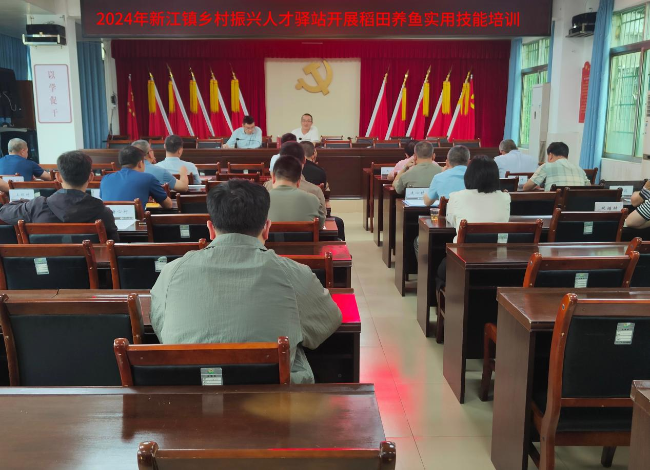 新江镇乡村振兴人才驿站组织稻田养鱼实用技能培训.png