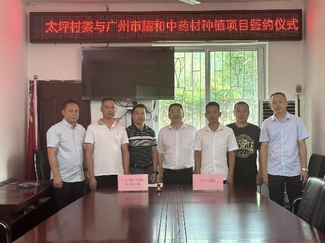 新江镇太坪村项目签约！携手广州市耀和共筑中药材产业梦.jpg