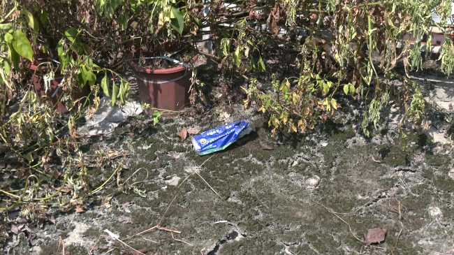 暑假旅游正当时 文明出行不能少[00_00_34][20240812-154459].png