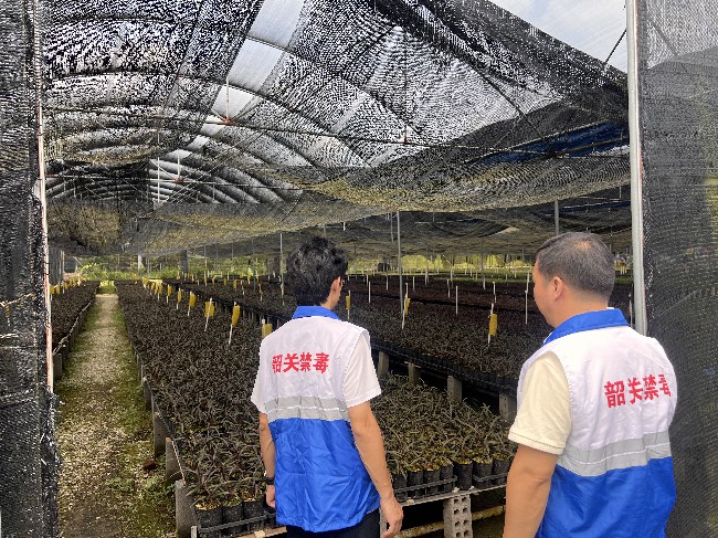 龙仙镇开展禁种铲毒踏查活动.jpg