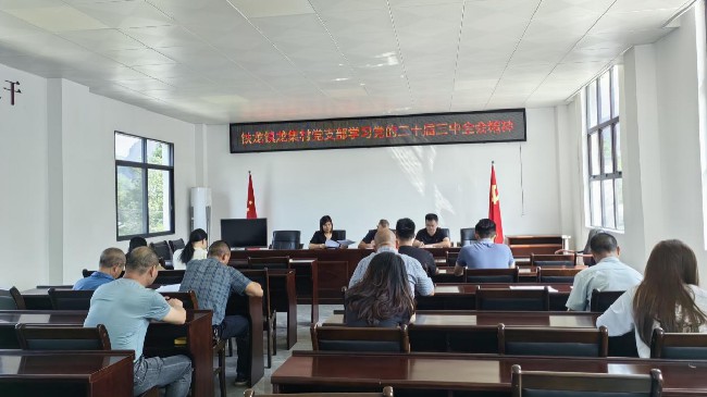 铁龙镇龙集村开展党的二十届三中全会精神集中学习分享会.jpg