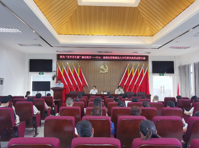 龙仙镇开展2024年“我为‘百千万工程’建言践行”人大代表向选民述职活动.png