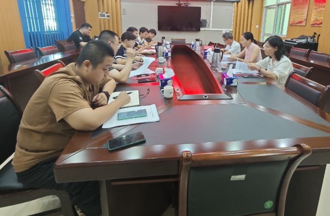 县人大常委会领导到新江镇调研“百千万工程”实施情况.png