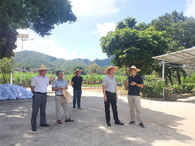 龙仙镇全力推动典型村项目建设“加速跑”.png