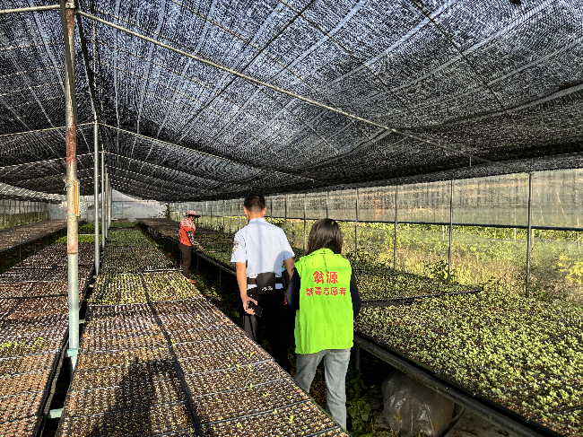 新江镇：开展禁种铲毒大棚巡查行动.png