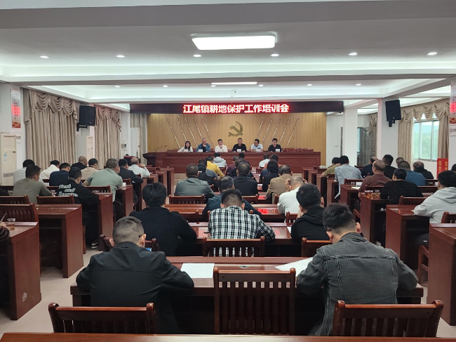 江尾镇耕地保护工作培训会.png