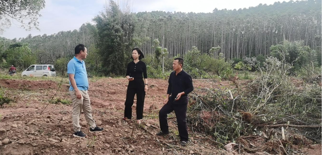 坝仔镇党委书记罗媚进村调研指导补充耕地工作.png