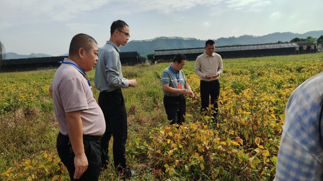 县政协主席钟秋华到江尾镇督办撂荒耕地整治.jpg
