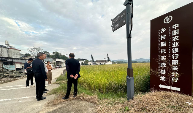 县农业局到江尾镇商讨冬种生产现场会事宜.jpg