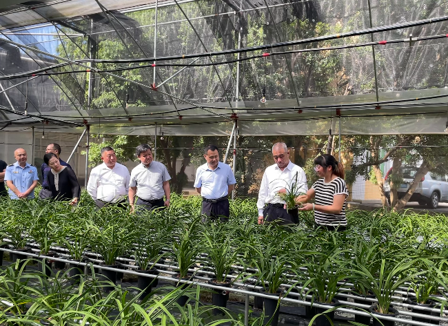 省知识产权保护中心一行来翁开展地理标志专项调研 助力兰花产业发展1.jpg
