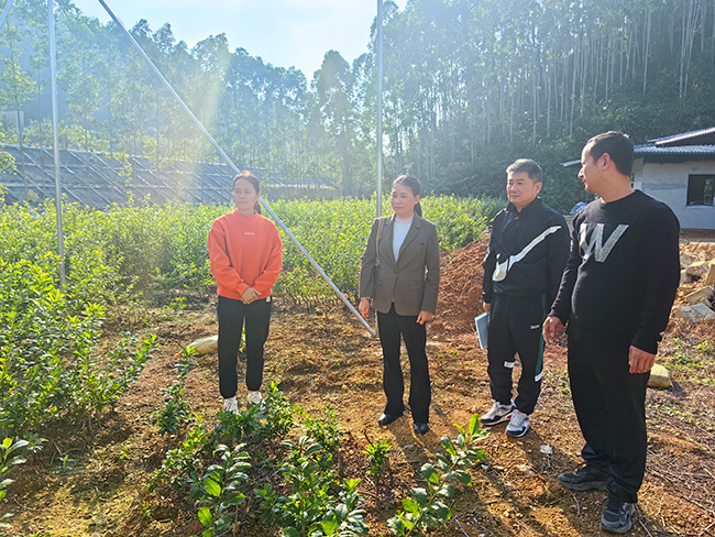 翁源县总工会到翁源县兰蝶妃农业有限公司调研指导.jpg