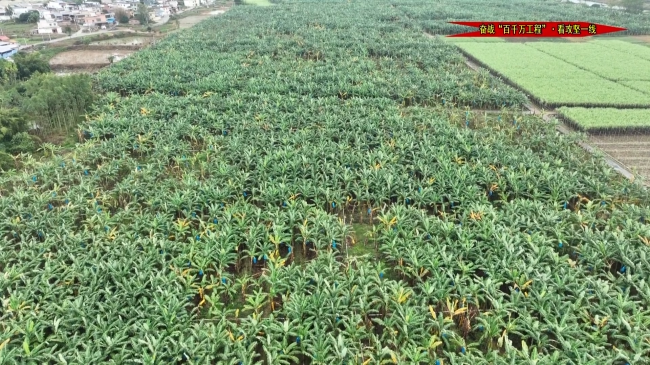 官渡镇新跃村.mp4_20241126_172750.723.jpg