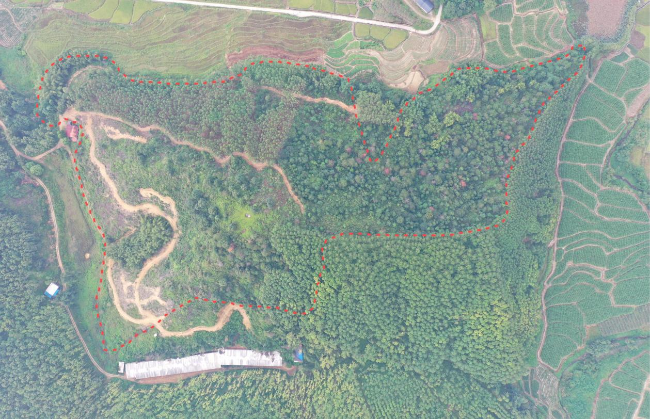 新江镇连心村：平台交易唤醒乡村“沉睡资源”.png